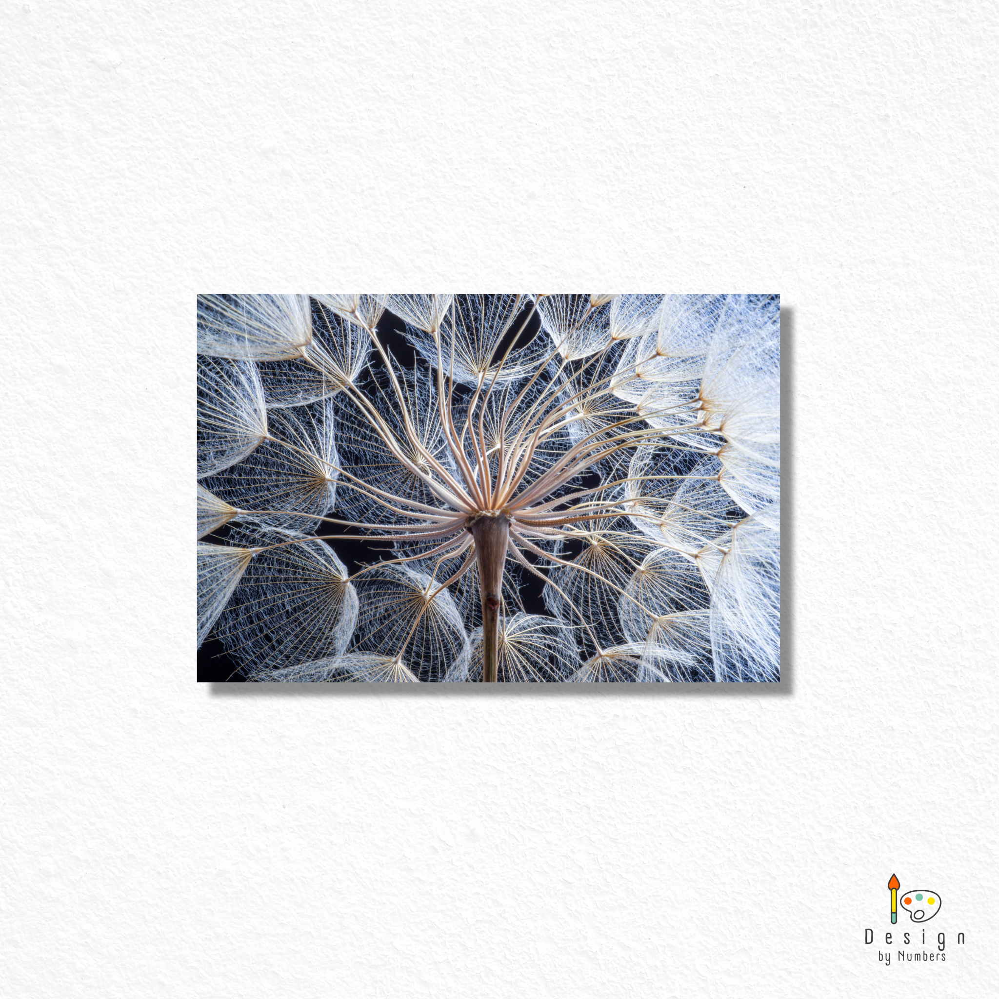Dreams of a Dandelion- Paint By Numbers