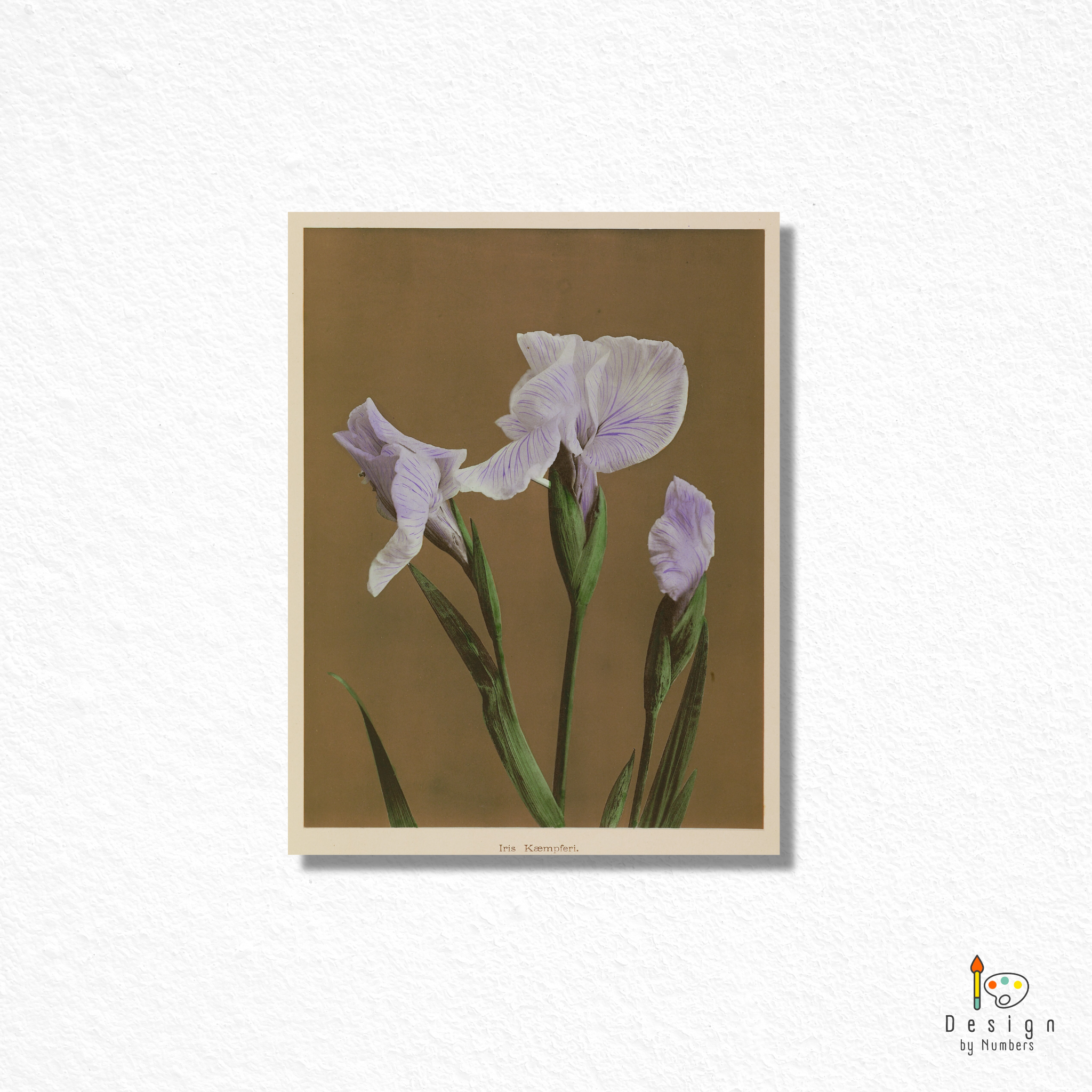 Iris Kaempferi- Kazumasa Ogawa- Paint by Numbers