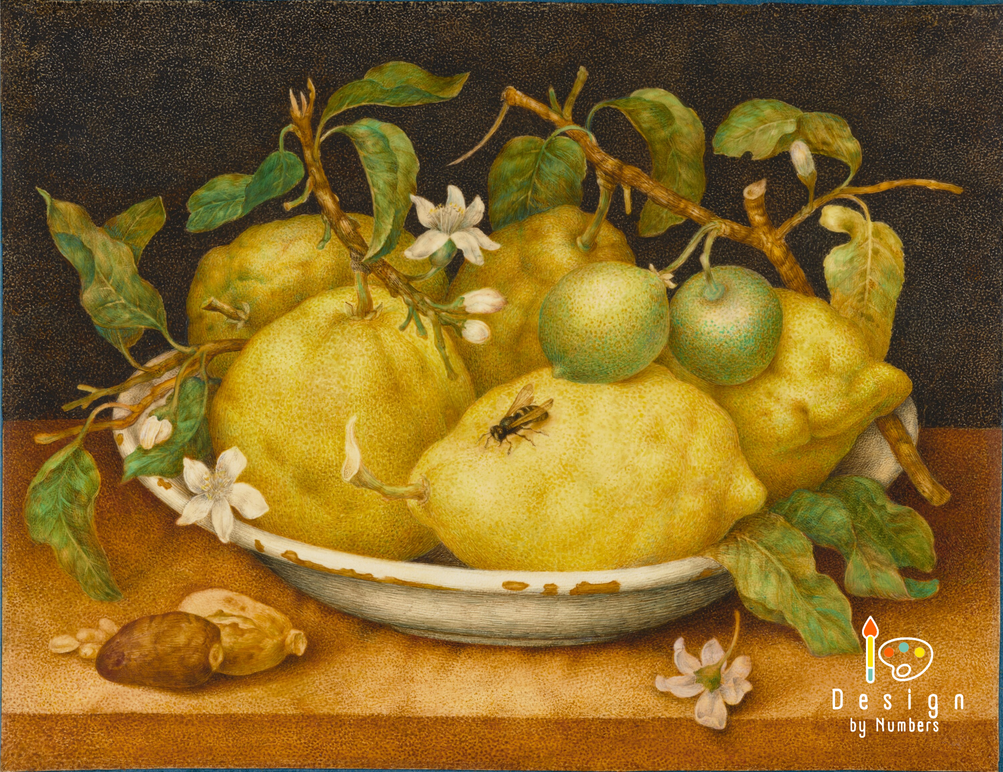 Still Life with Bowl of Citrons - Giovanna Garzoni - Paint by Numbers
